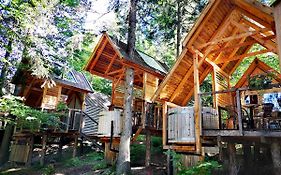 Glamping Ribno